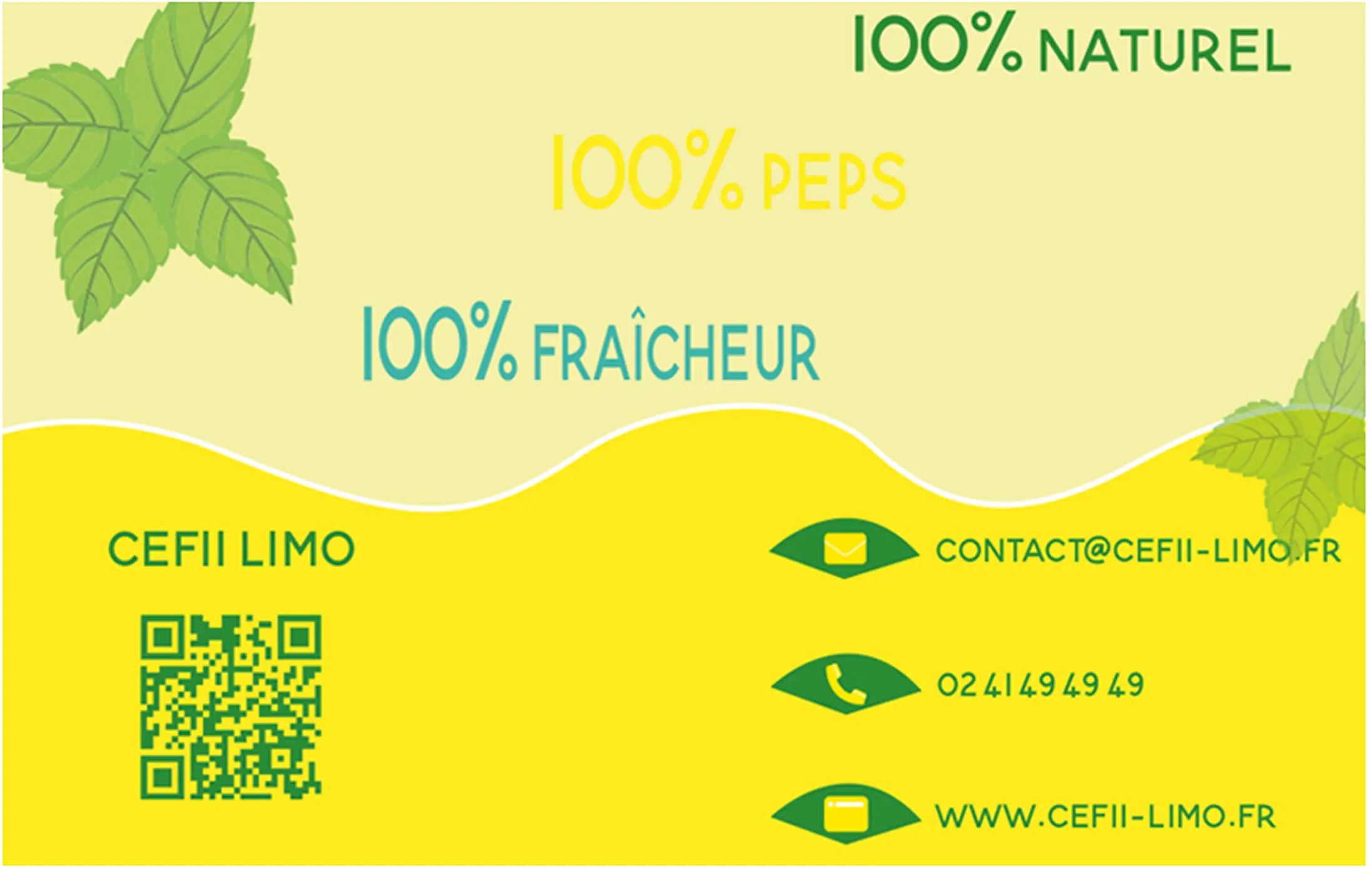 Recto carte de visite